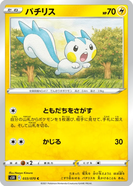 Pachirisu – Normal