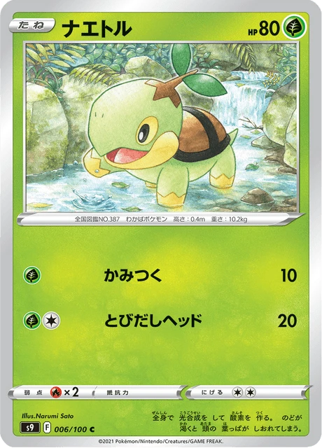 Turtwig – Normal