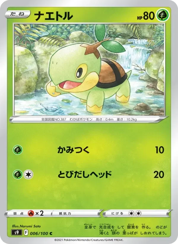 Turtwig