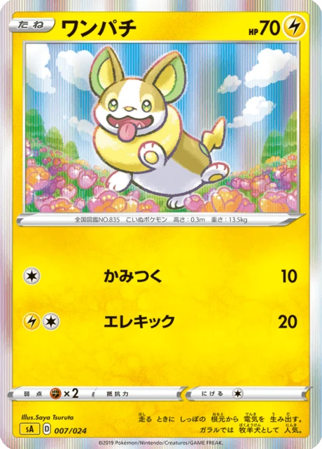 Yamper – Holo