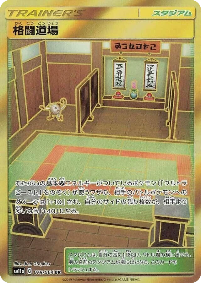 Martial Arts Dojo – Holo