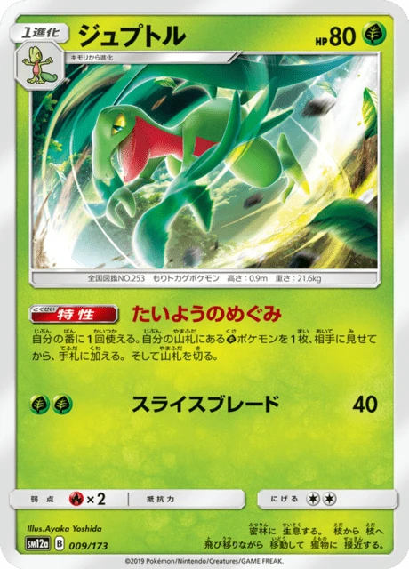 Grovyle – Normal