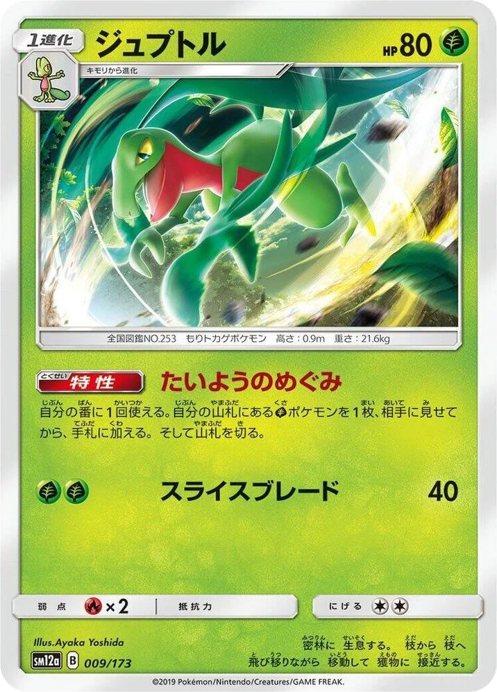 Grovyle – Normal