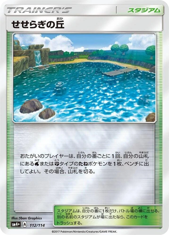Brooklet Hill – Holo