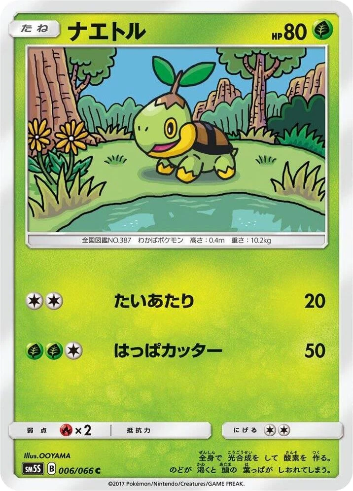 Turtwig