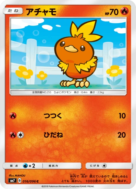 Torchic – Normal