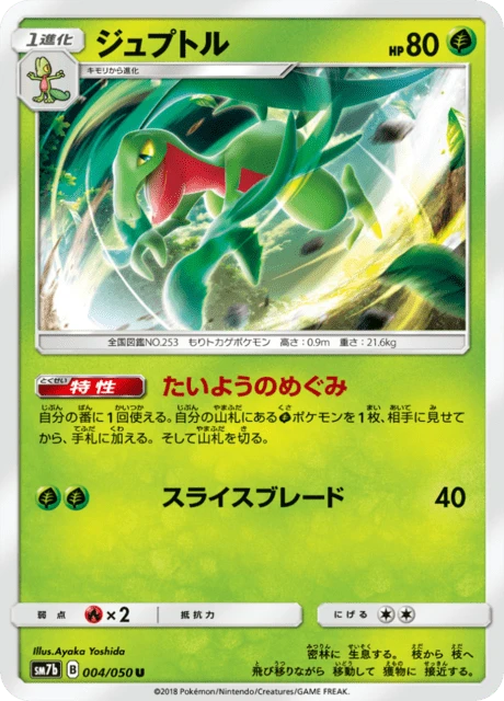 Grovyle – Normal
