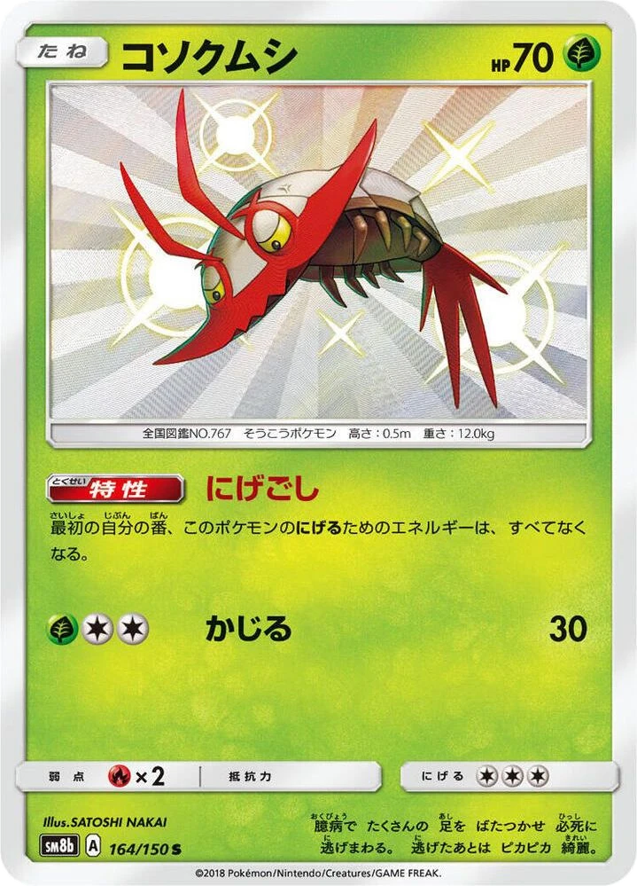 Wimpod – Holo