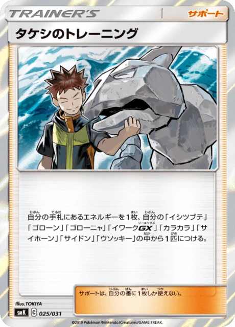 Brock's Training – Holo