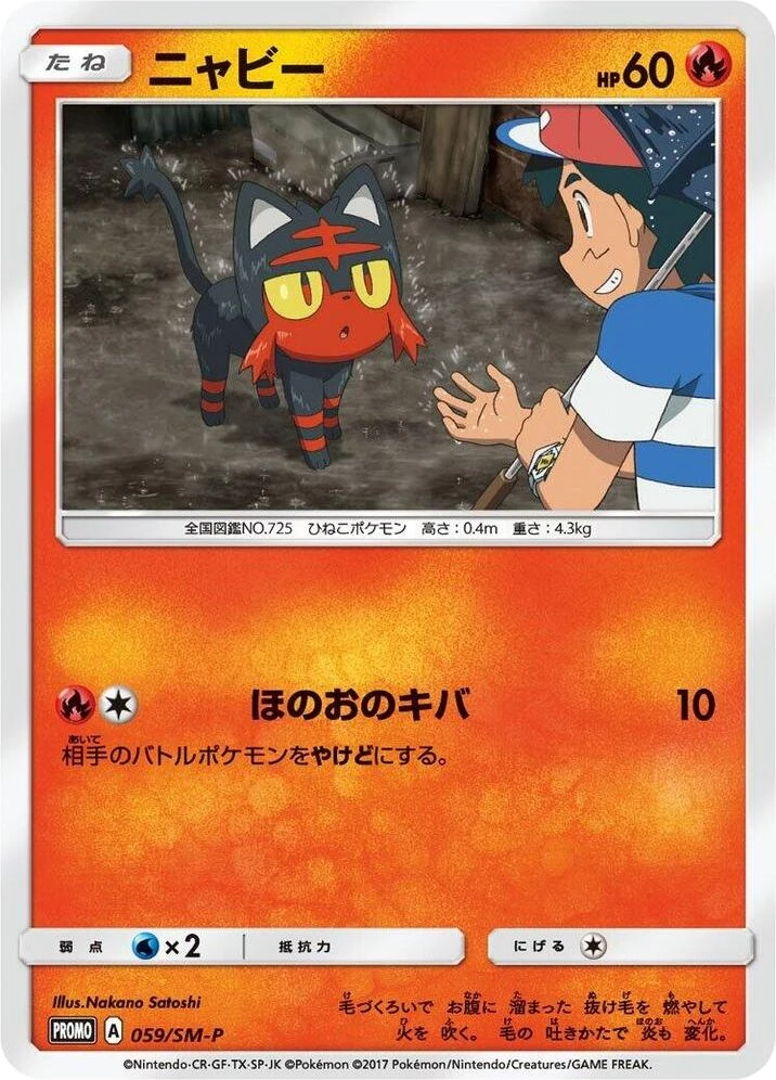 Litten – Normal