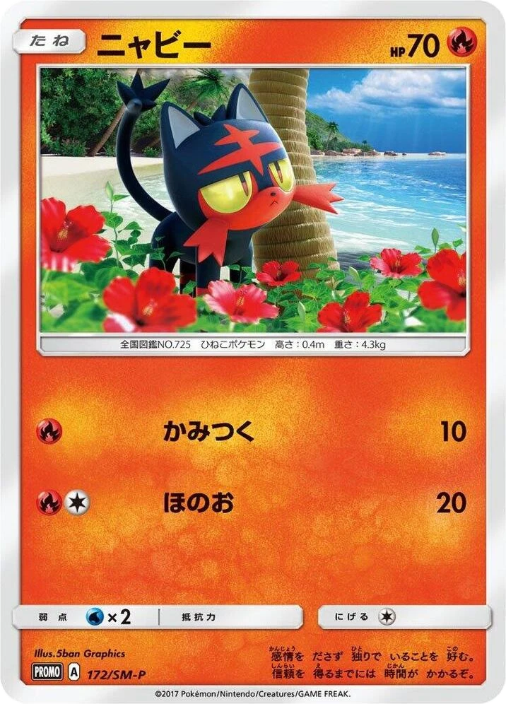 Litten – Normal
