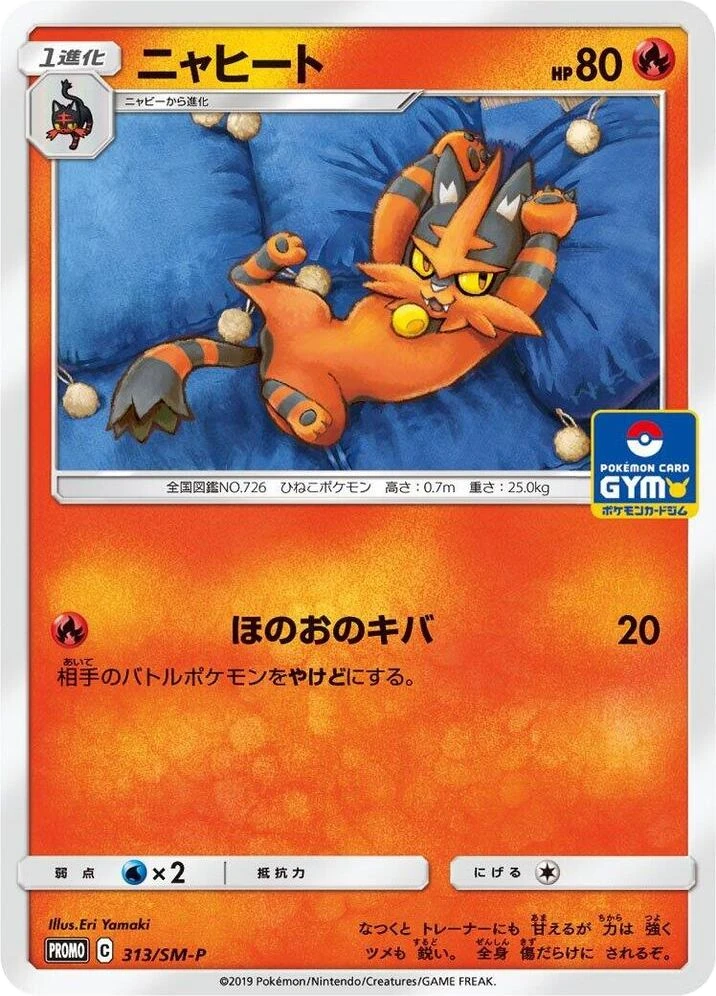 Torracat – Normal