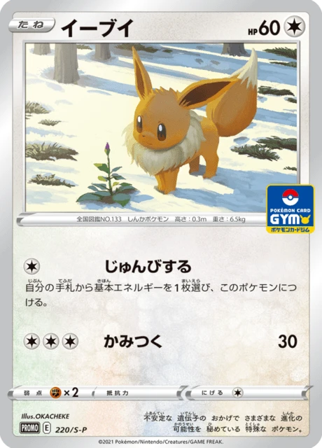 Eevee – Normal