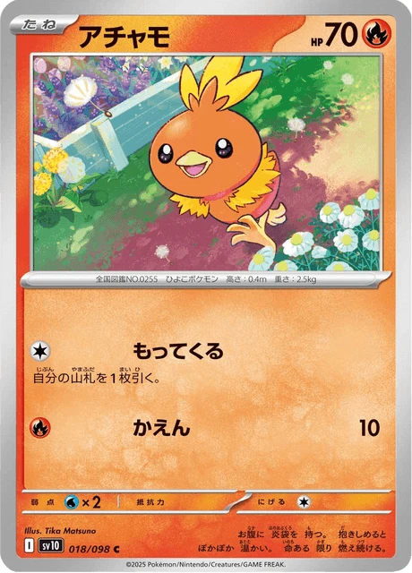 Torchic – Normal