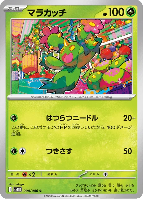 Maractus