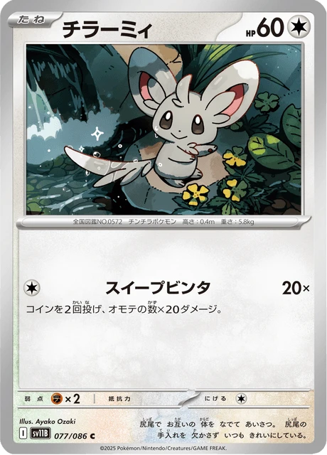Minccino – Normal