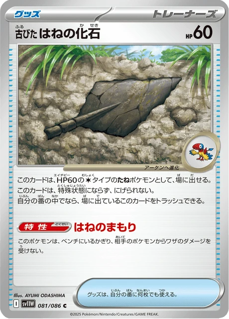Antique Plume Fossil – Normal