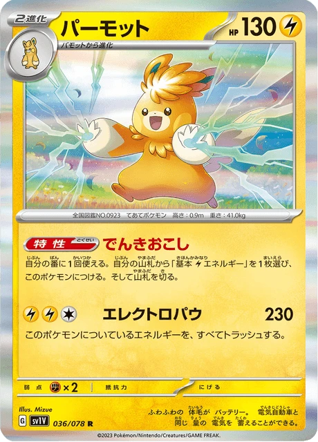 Pawmot – Holo