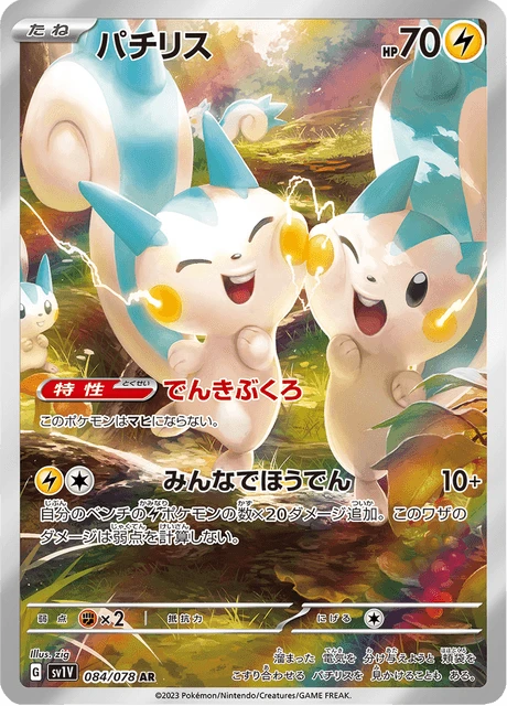Pachirisu – Holo