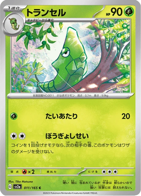 Metapod – Normal