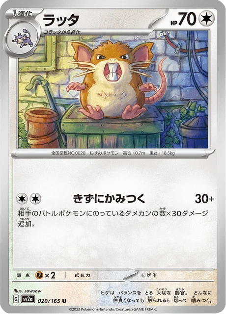 Raticate – Normal
