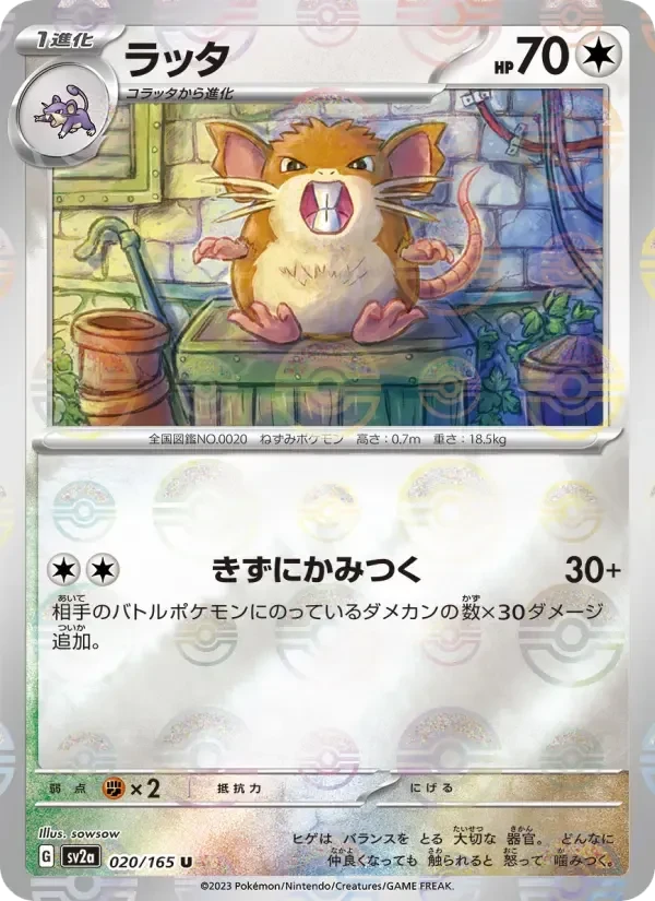 Raticate