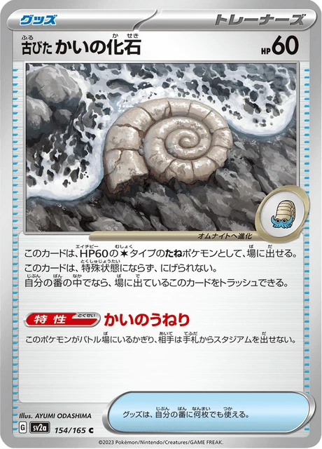 Antique Helix Fossil – Normal
