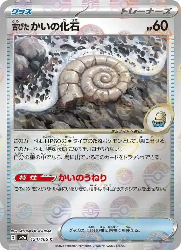 Antique Helix Fossil – Normal