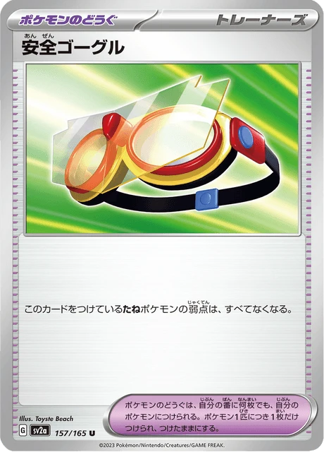Protective Goggles – Normal