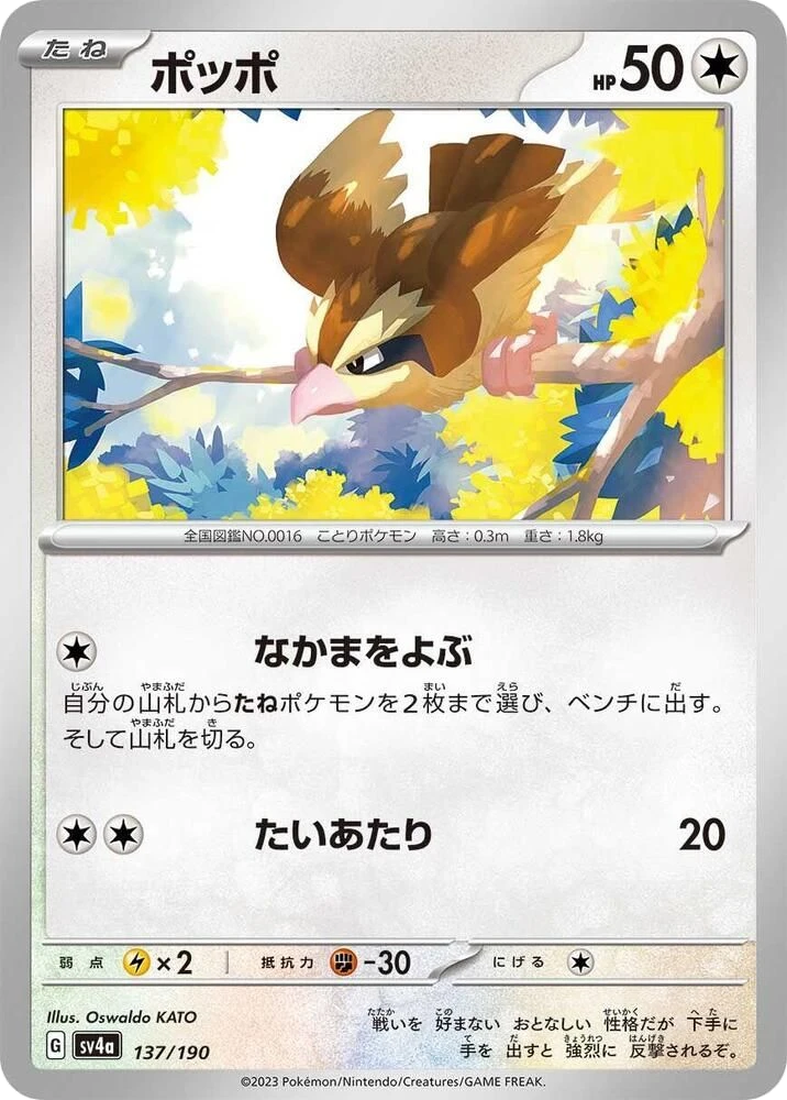 Pidgey – Normal