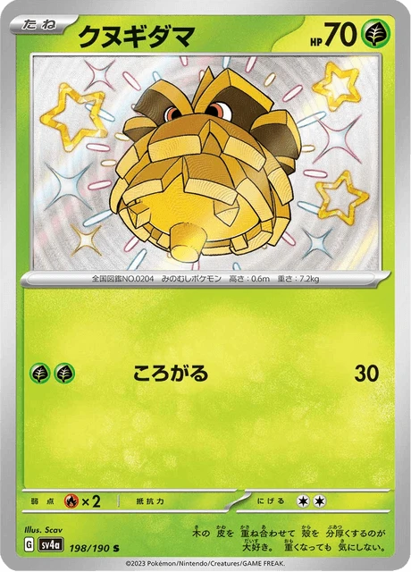 Pineco – Holo