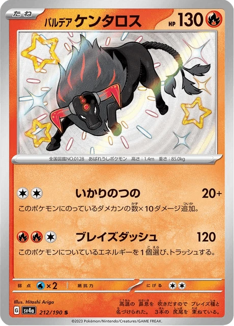 Tauros – Holo