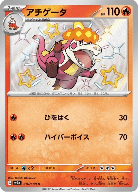 Crocalor – Holo