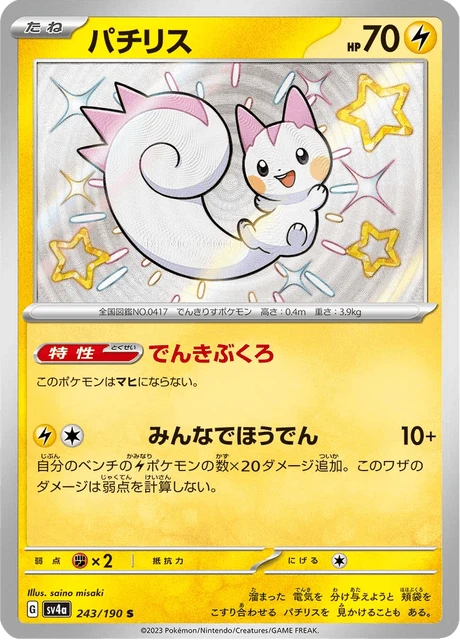 Pachirisu – Holo