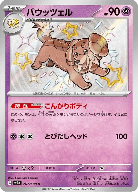 Dachsbun – Holo