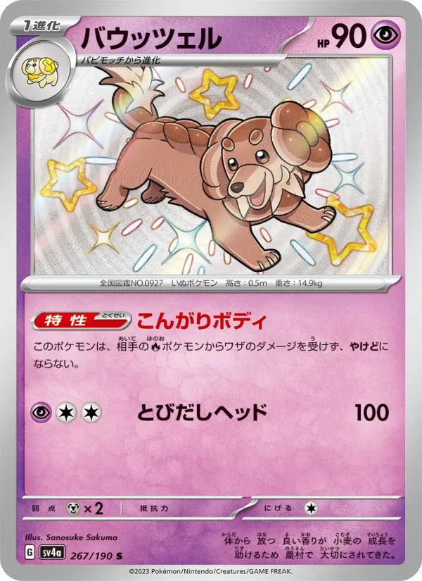 Dachsbun – Holo