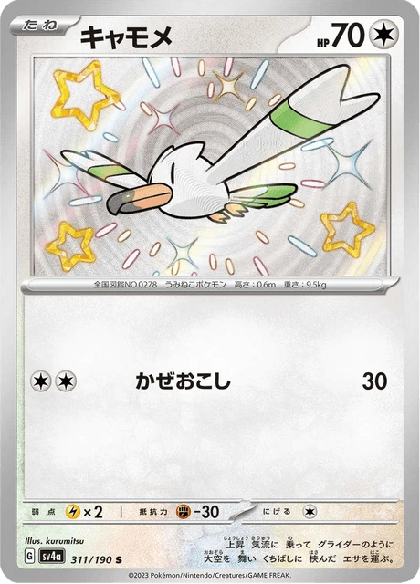 Wingull – Holo