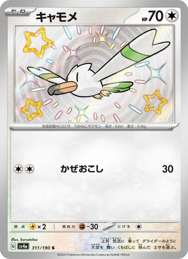Wingull – Holo
