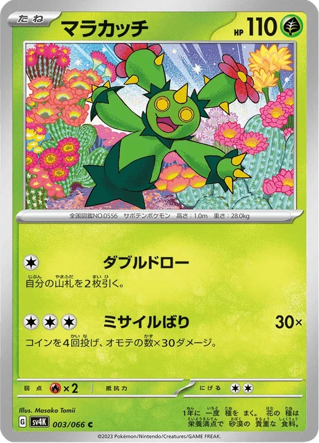 Maractus – Normal