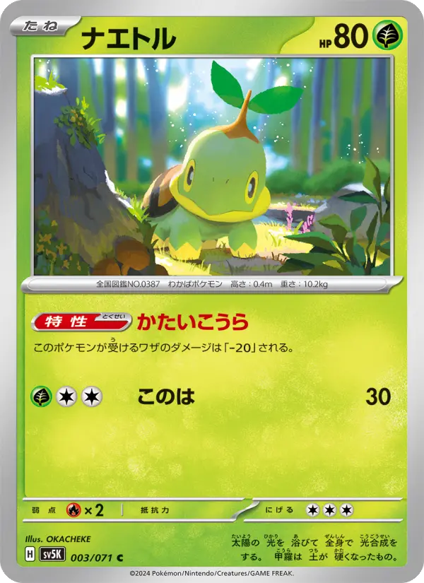 Turtwig – Normal