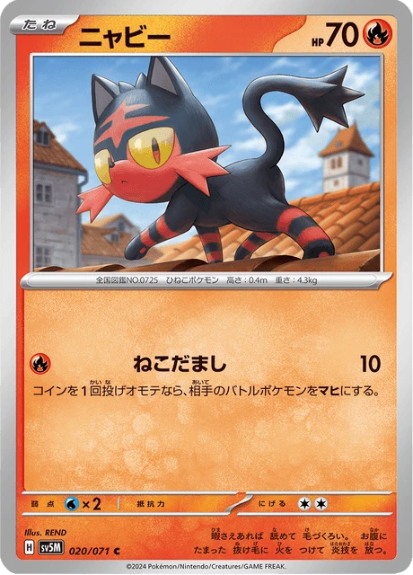 Litten – Normal