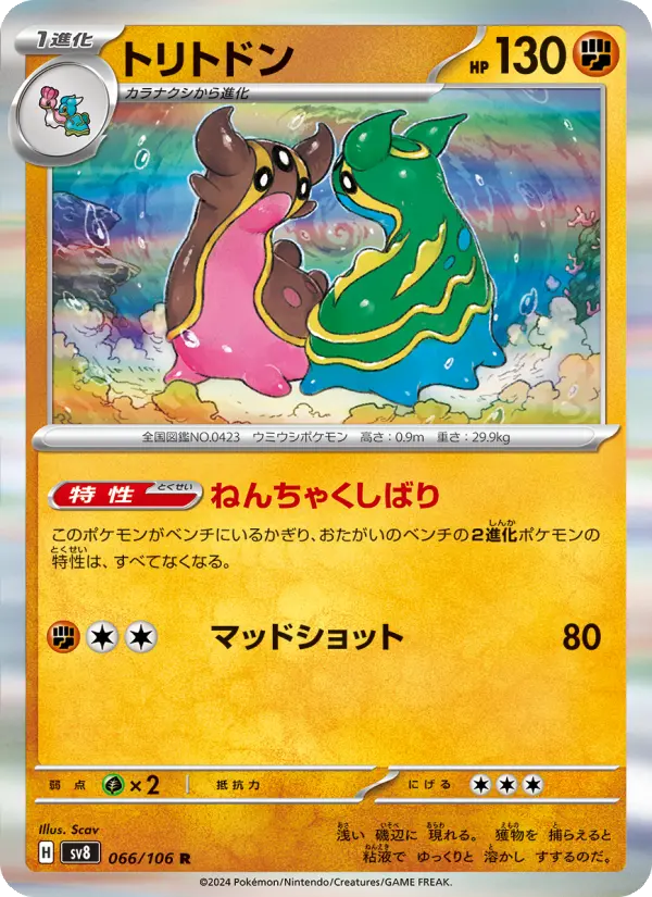 Gastrodon – Holo