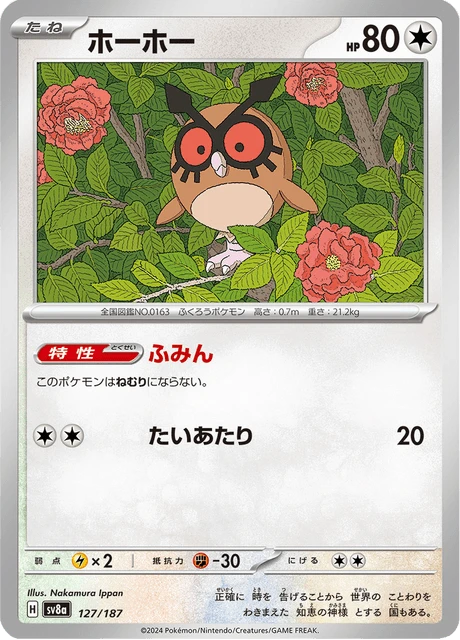 Hoothoot – Normal