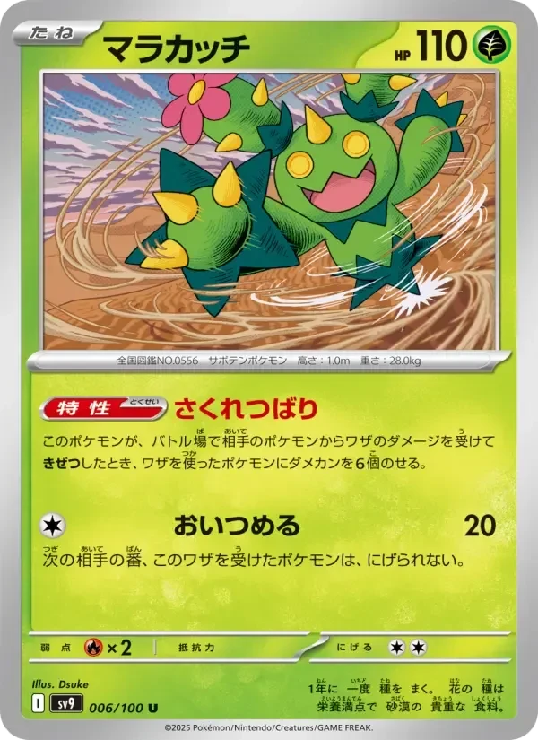 Maractus