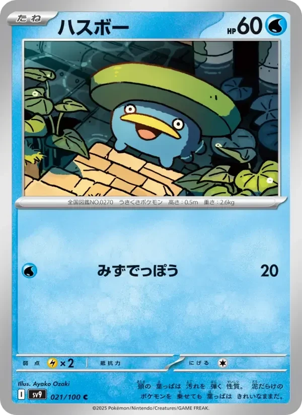 Lotad – Normal