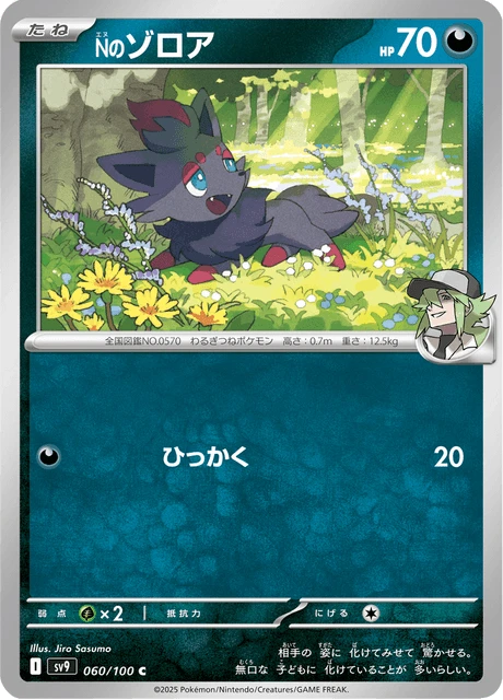 Zorua – Normal