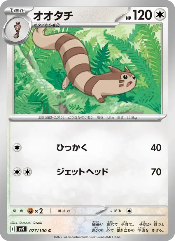 Furret – Normal