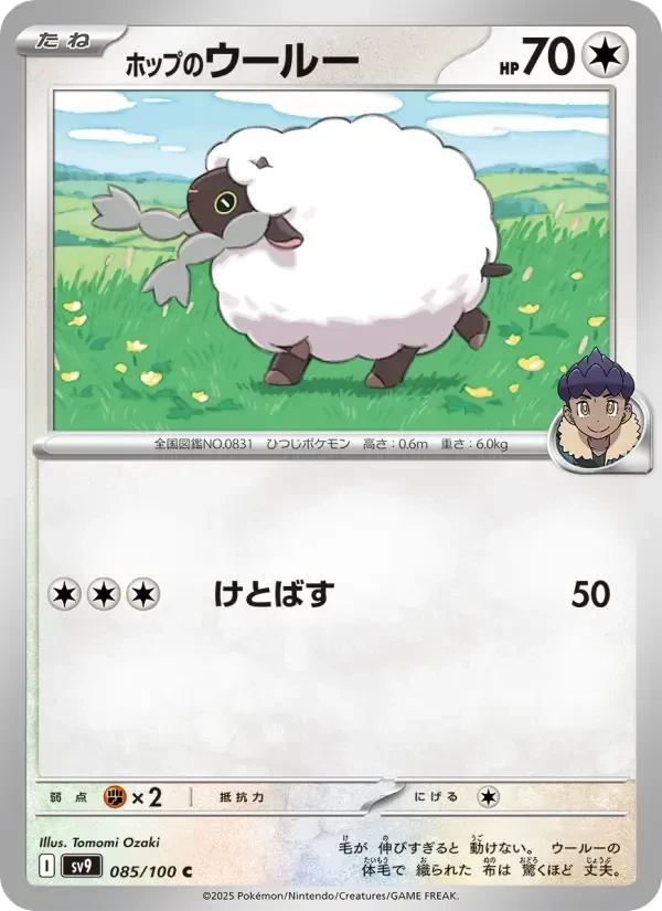 Wooloo – Normal
