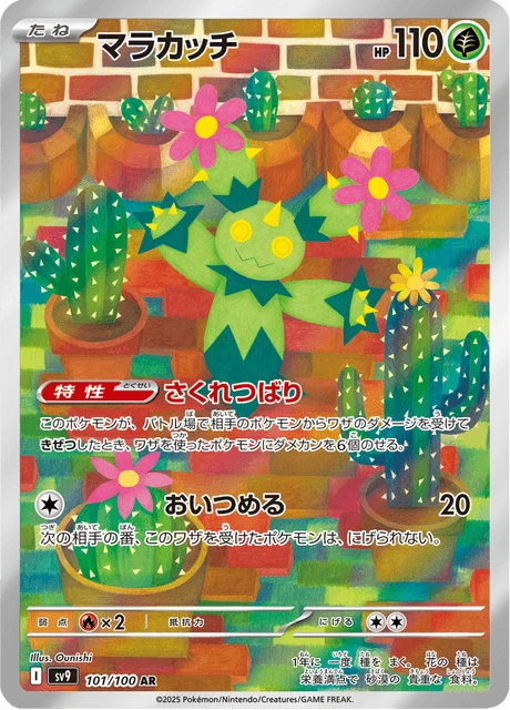 Maractus – Holo
