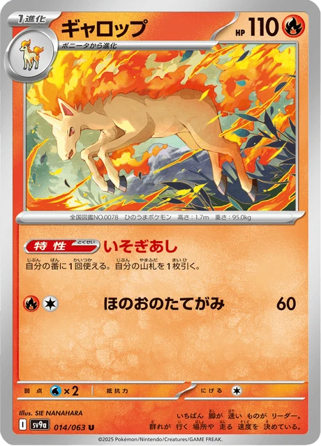 Rapidash – Normal